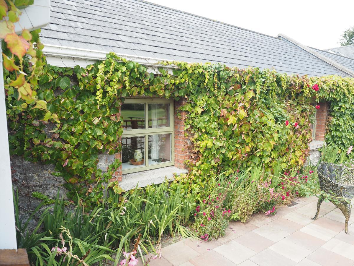 קרלו Coolanowle Self Catering Holiday Accommodation מראה חיצוני תמונה